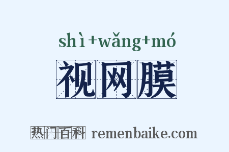 视网膜是什么意思的图片